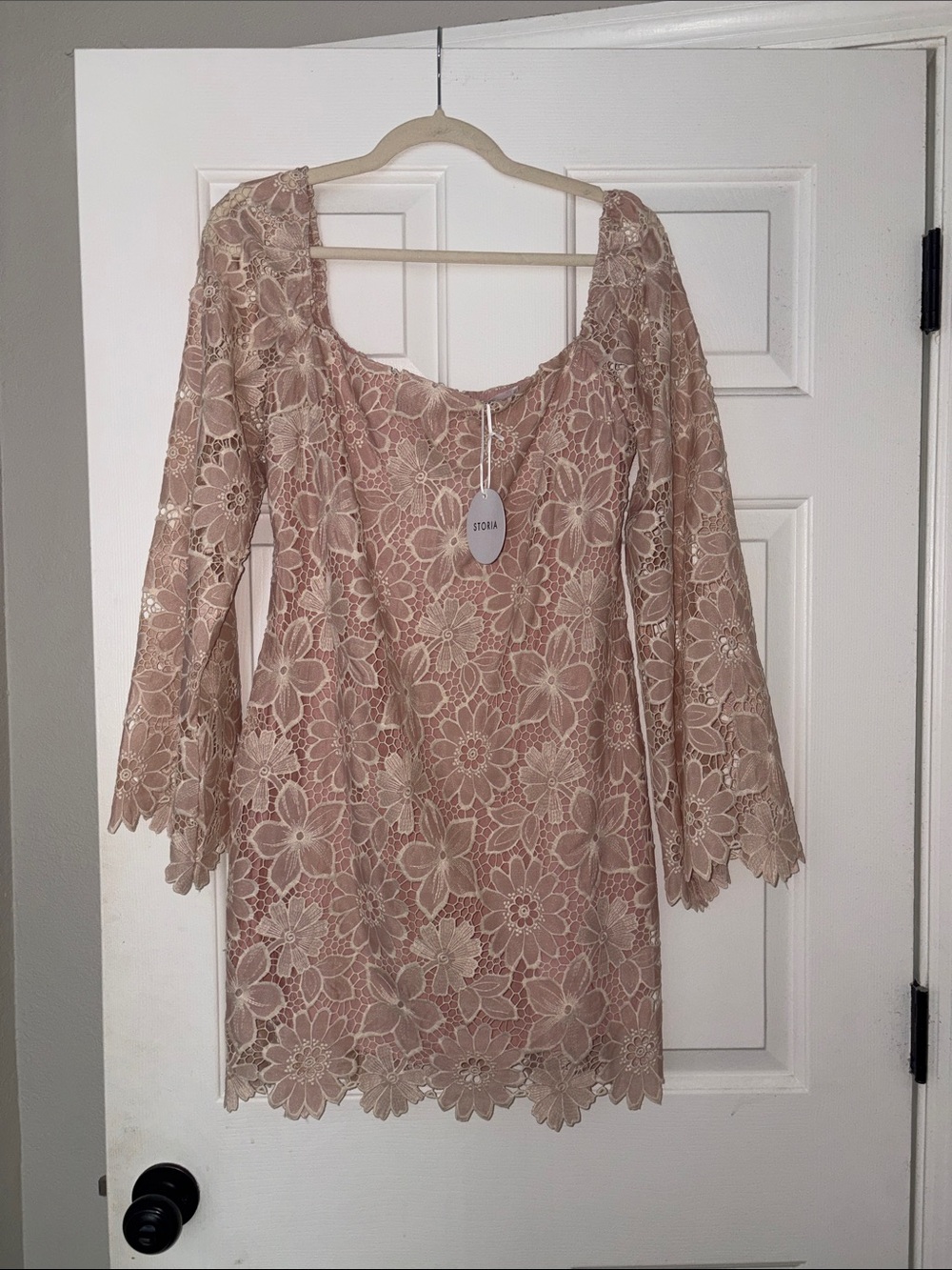 Storia Blush Floral Lace Mini Dress